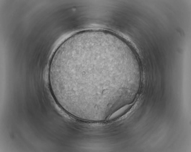 X0000112201421200909181524