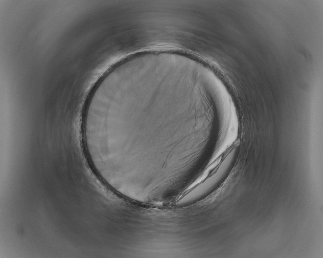 X0000112201422200909181524