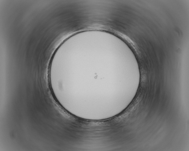 X0000112201423200909181524