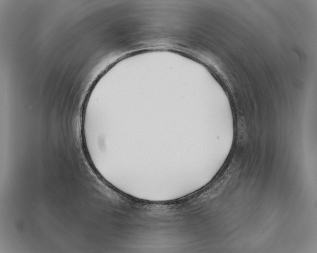 X0000112201424200909181524