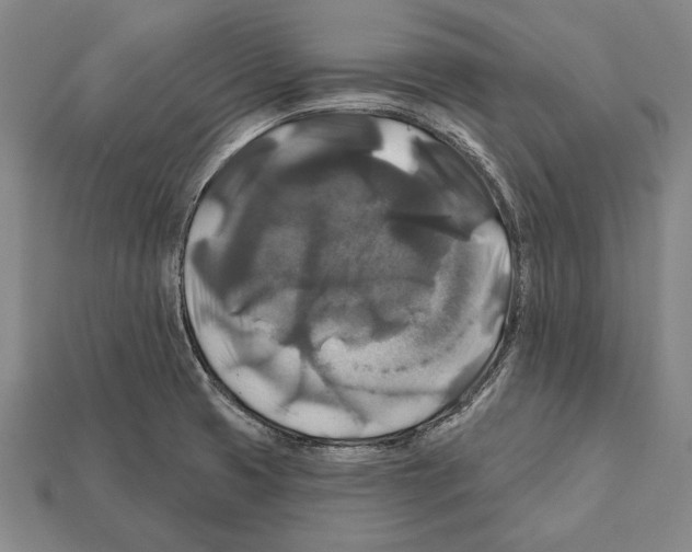X0000112201425200909181524
