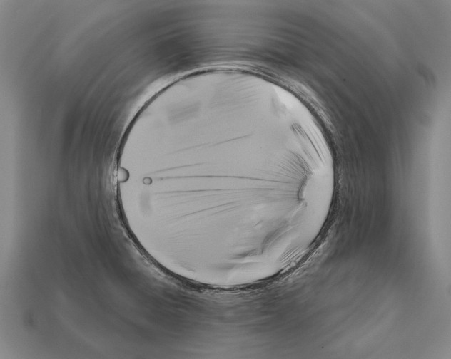 X0000112201428200909181524