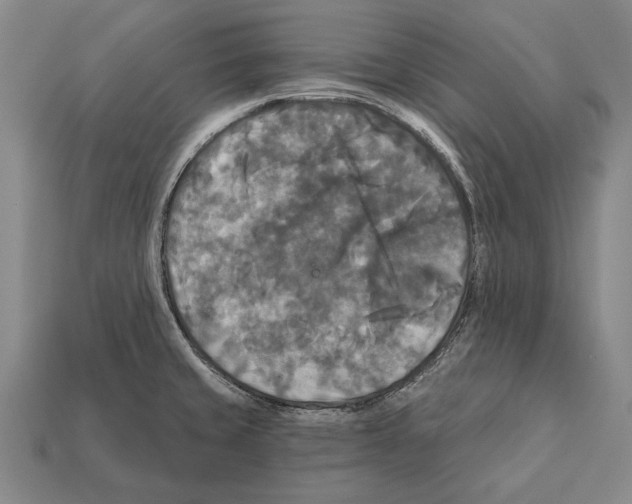 X0000112201429200909181524