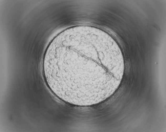 X0000112201432200909181524