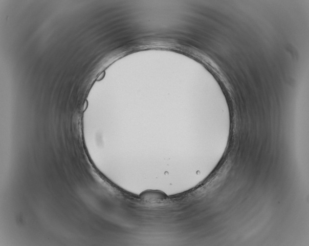 X0000112201433200909181524