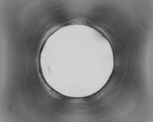 X0000112201434200909181524