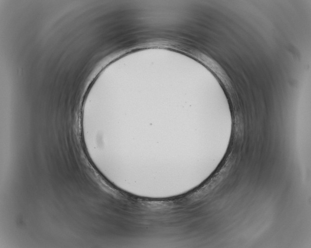 X0000112201436200909181524