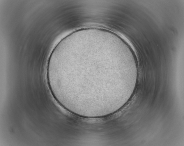 X0000112201437200909181524