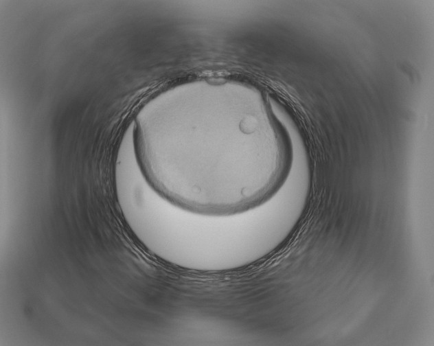 X0000112201444200909181523