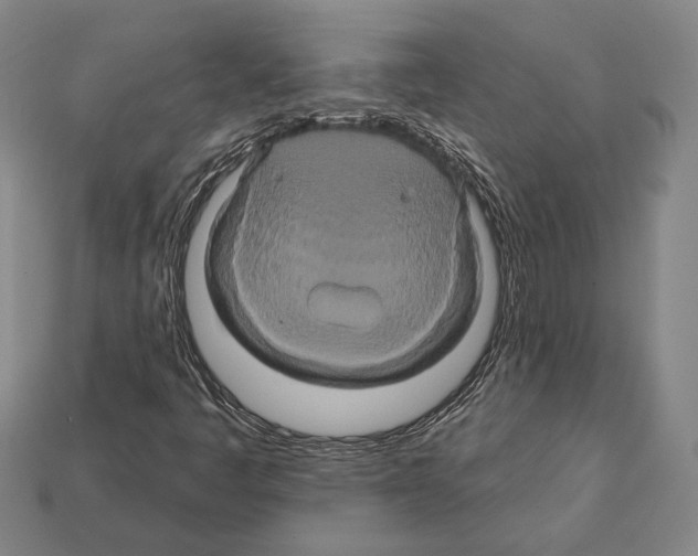 X0000112201445200909181523