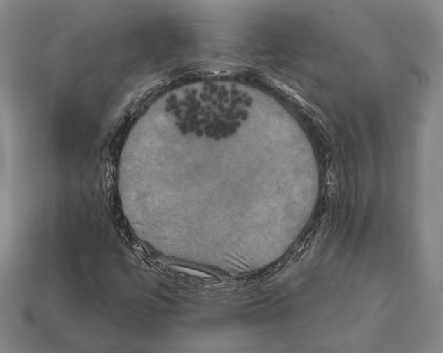 X0000112201447200909181523