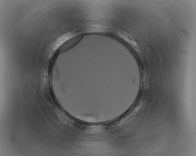 X0000112201453200909181523