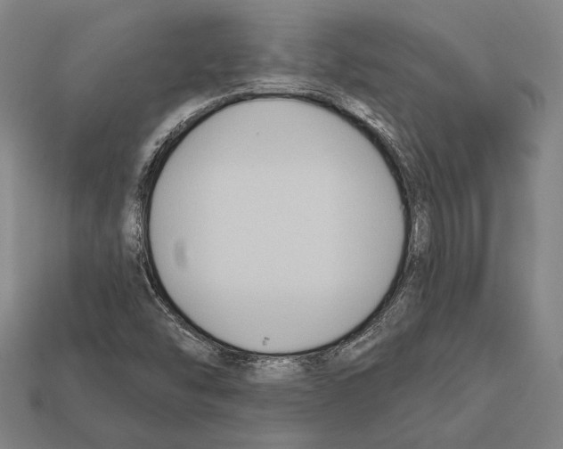 X0000112201454200909181523
