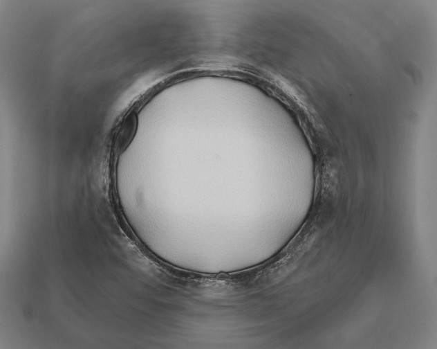 X0000112201456200909181523