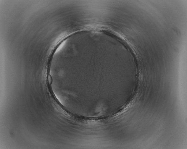X0000112201459200909181523