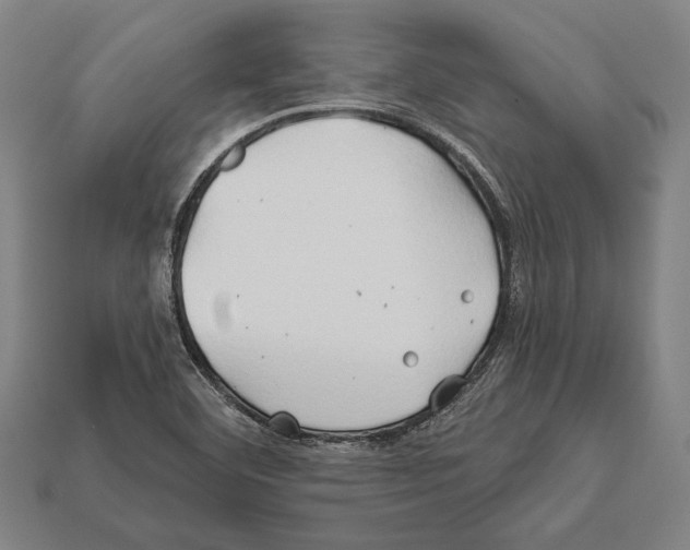 X0000112201460200909181523