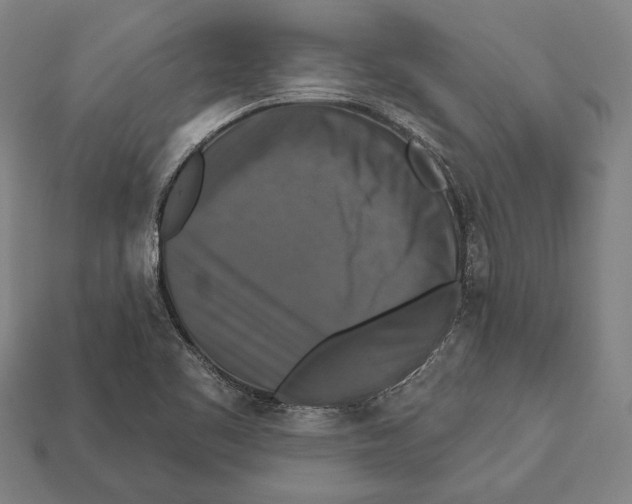 X0000112201461200909181523