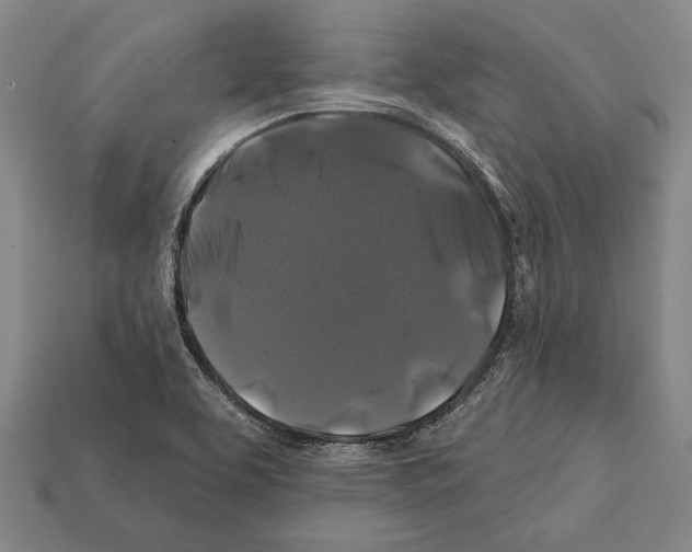X0000112201463200909181523