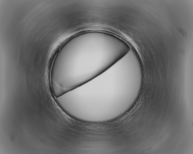 X0000112201464200909181523