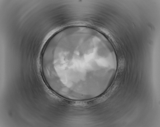 X0000112201466200909181523