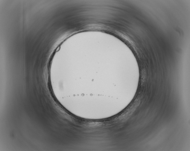 X0000112201467200909181523