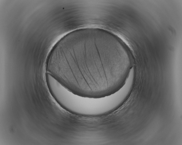 X0000112201468200909181523