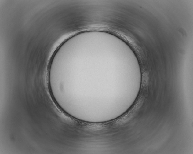 X0000112201470200909181523