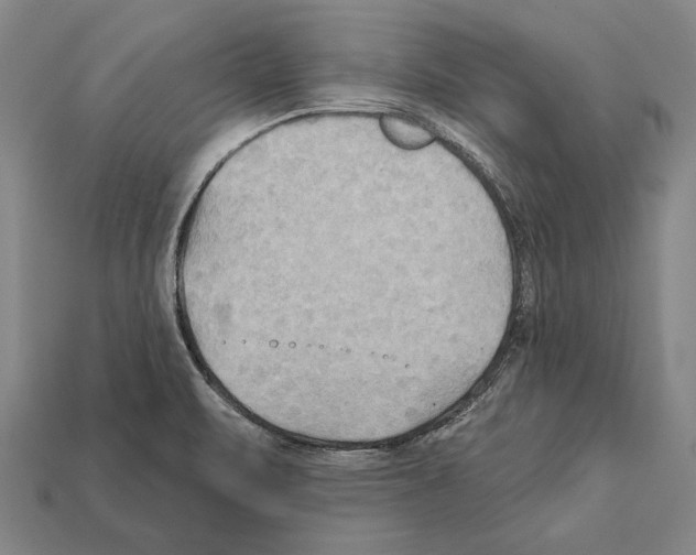 X0000112201471200909181523