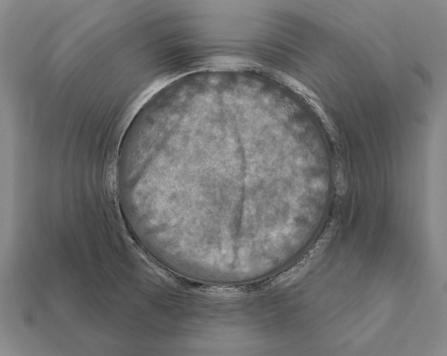X0000112201473200909181523