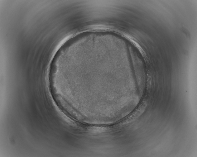 X0000112201475200909181523