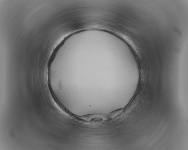 X0000112201476200909181523