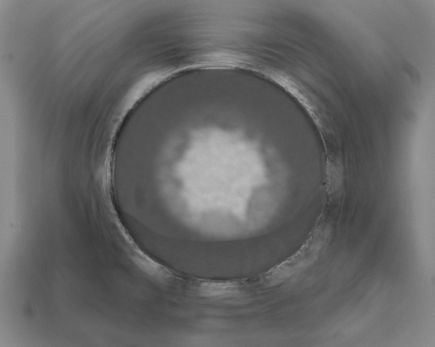 X0000112201477200909181523