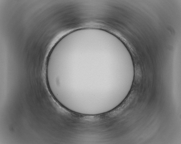 X0000112201478200909181523