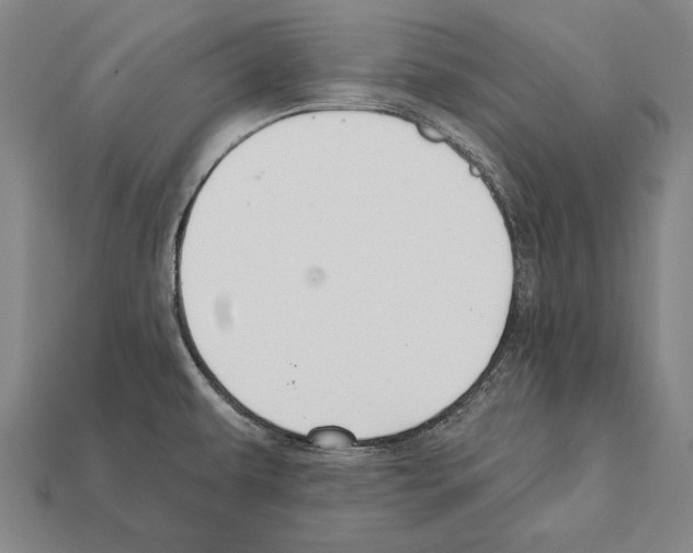 X0000112201479200909181523