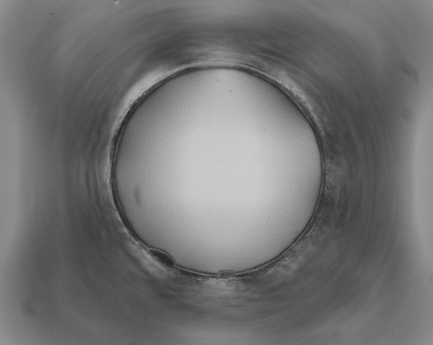 X0000112201480200909181523