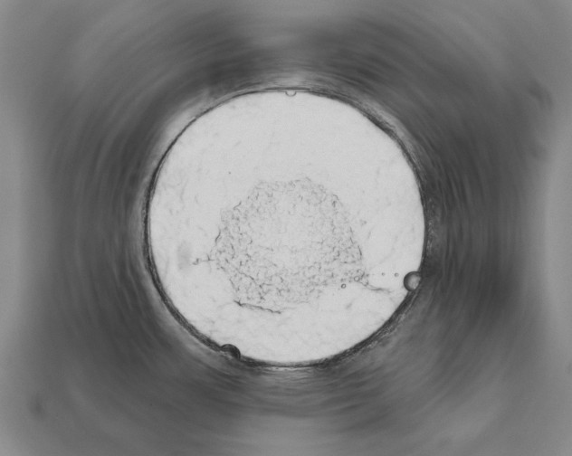 X0000112201483200909181523