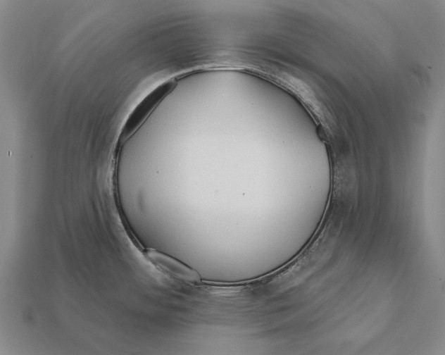 X0000112201484200909181523