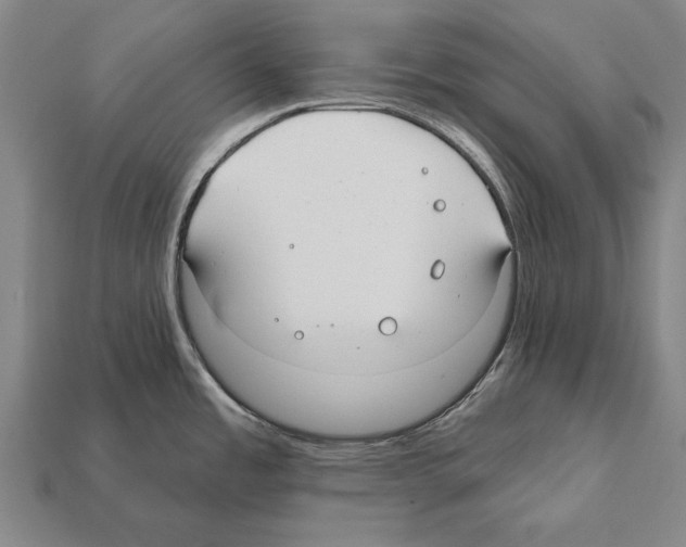 X0000112201485200909181523