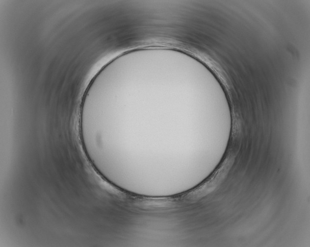 X0000112201486200909181523