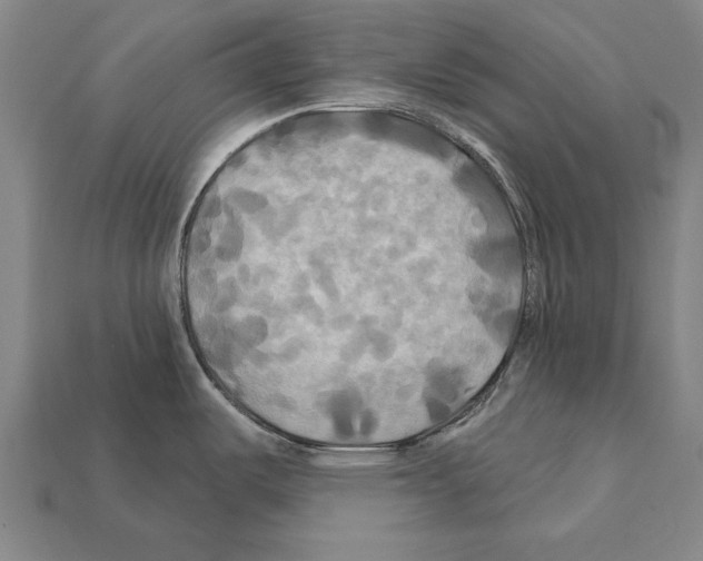 X0000112201487200909181523