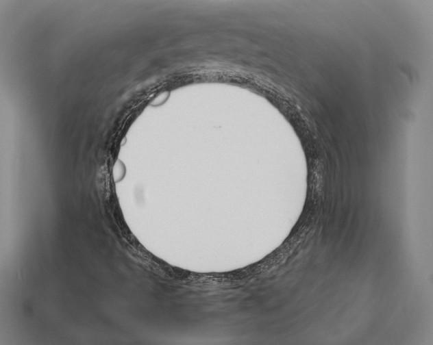 X0000112201493200909181522