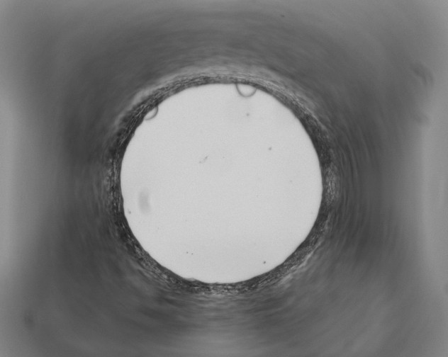 X0000112201494200909181522