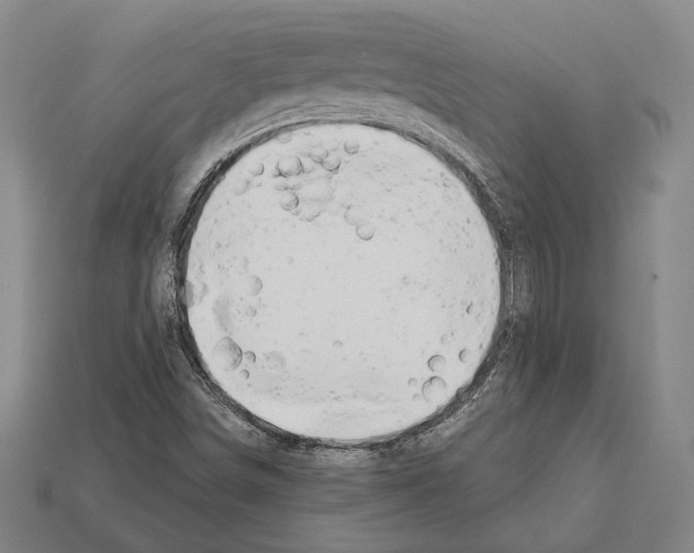 X0000112201498200909181522