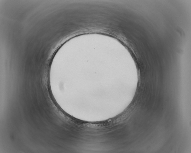 X0000112201500200909181522