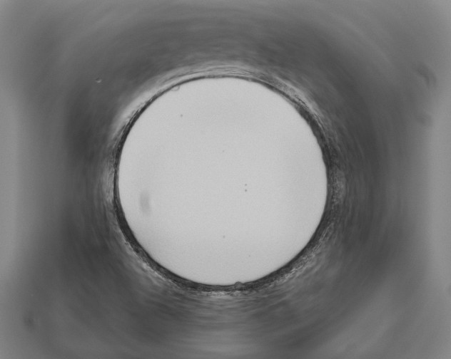 X0000112201504200909181522
