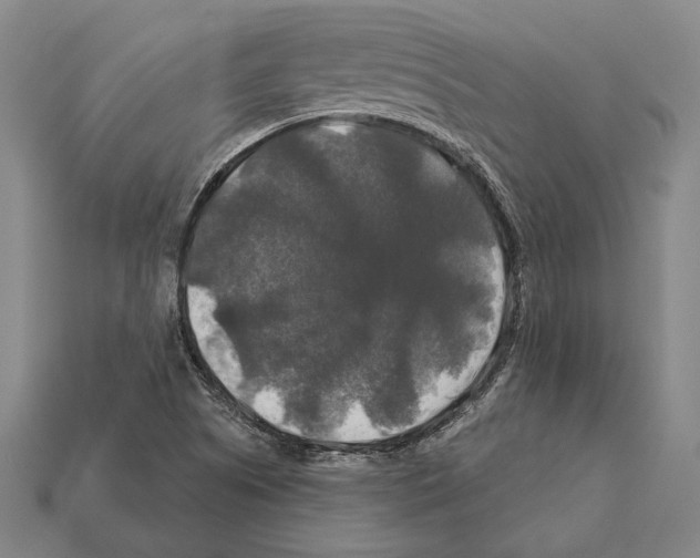 X0000112201505200909181522
