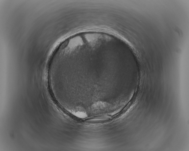 X0000112201506200909181522