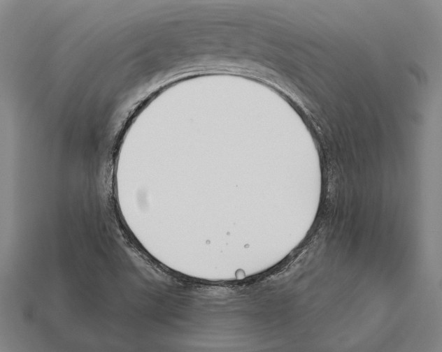 X0000112201507200909181522