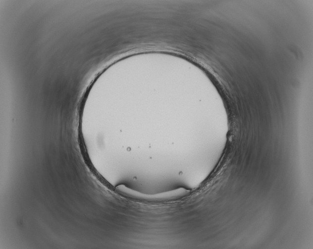 X0000112201508200909181522