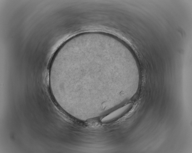 X0000112201509200909181522